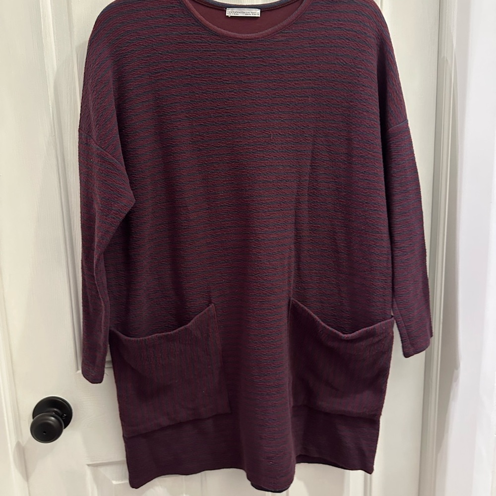 Zara Red and Blue Tunic Top with Relaxed Fit
